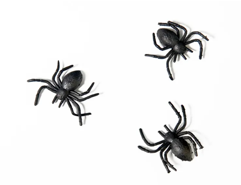 Svarte edderkopper
