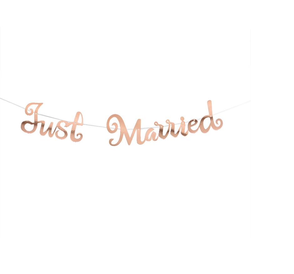 Banner - "Just Married" - Rosegull