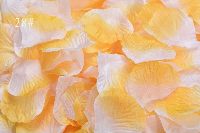 Roseblader - Oransje-Hvit Ombre (100 stk)
