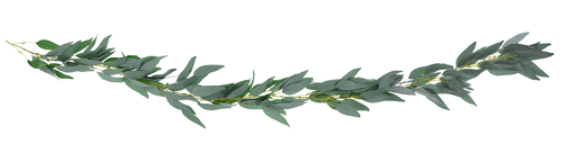 Krans - willow leaves